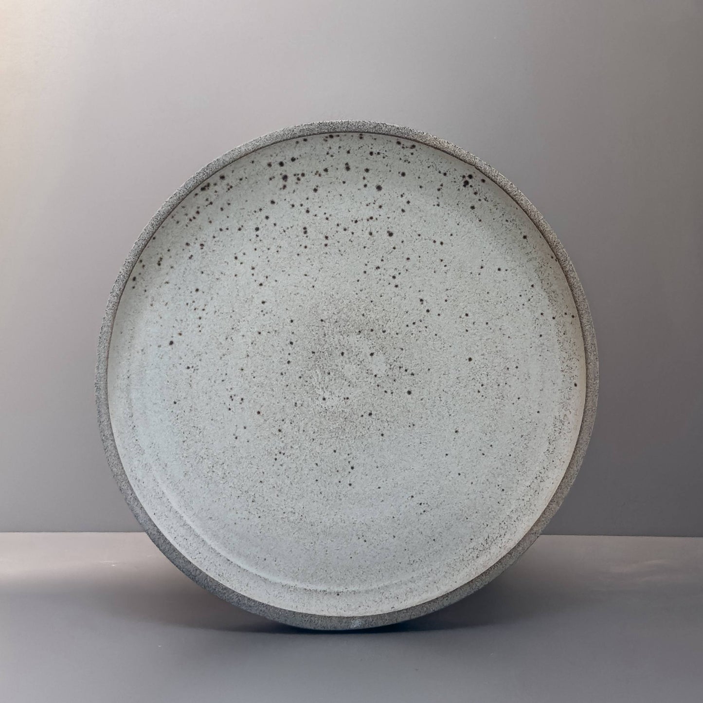 Stoneware Plate – Speckled White